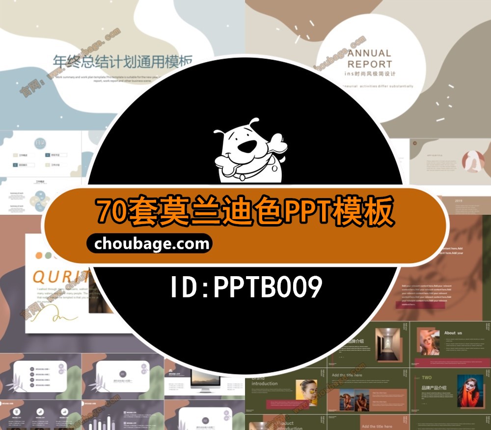 PPTB009 莫兰迪色PPT模板 简约风时尚高级配色工作总结汇报计划答辩素材 70款