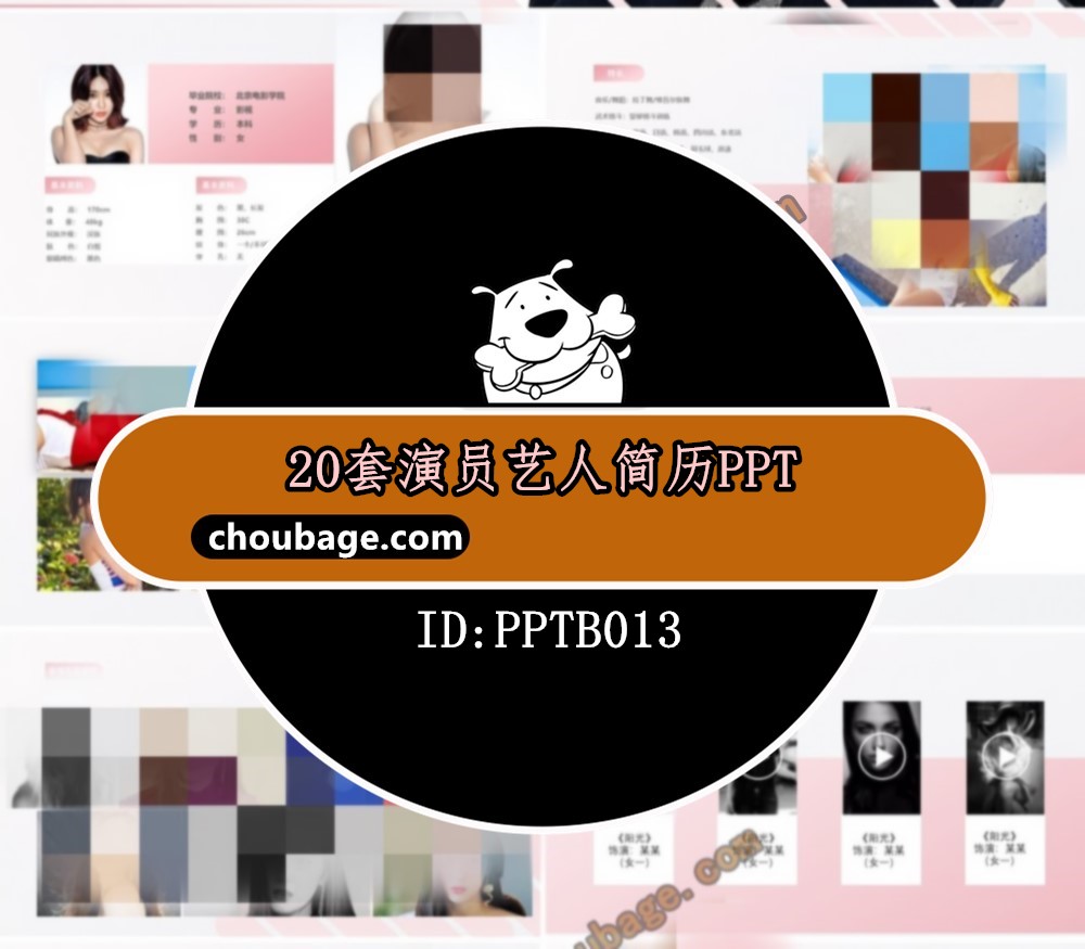 PPTB013 演员艺人简历PPT 20款